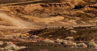 《偶像大师》系列手游新作《学园偶像大师》公开！